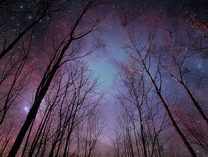 looking-into-the-stars